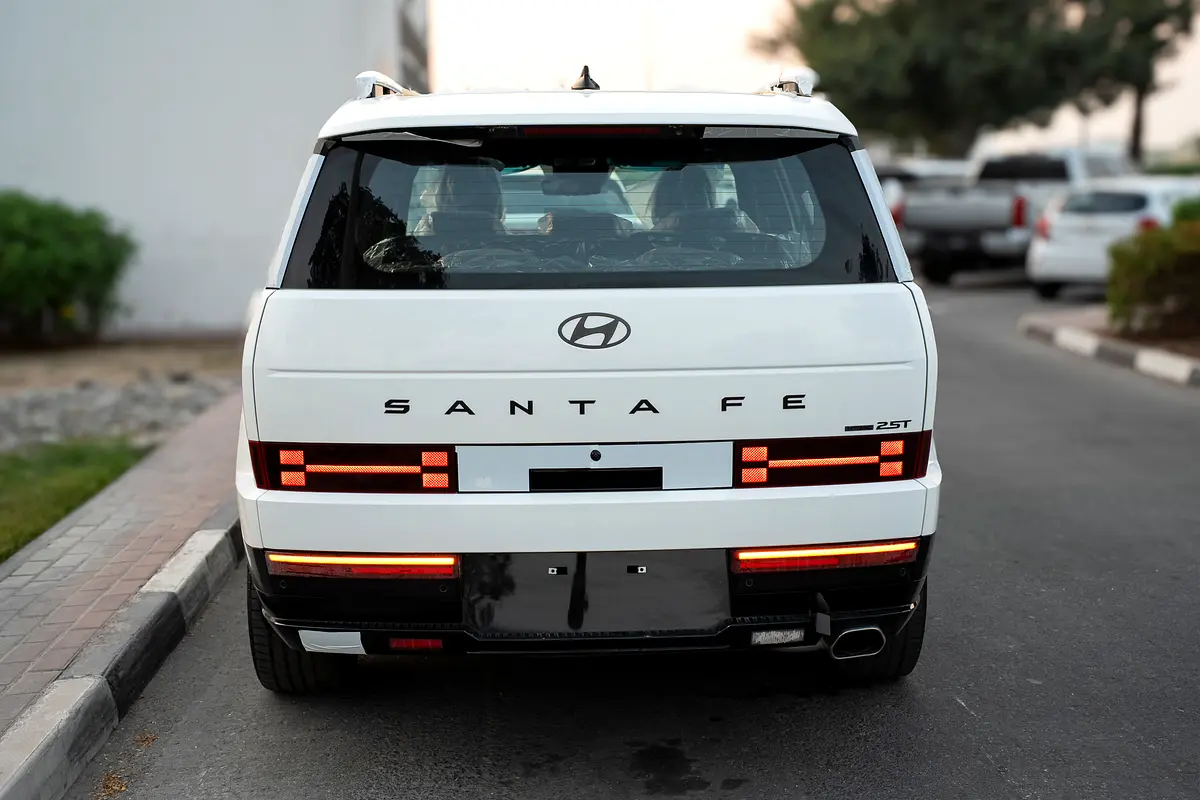 HYUNDAI Santa Fe Calligraphy 2024 - photo 4